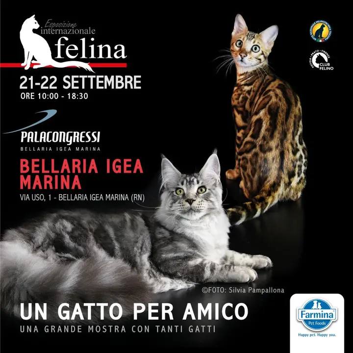 UN GATTO PER AMICO_ AL PALACONGRESSI