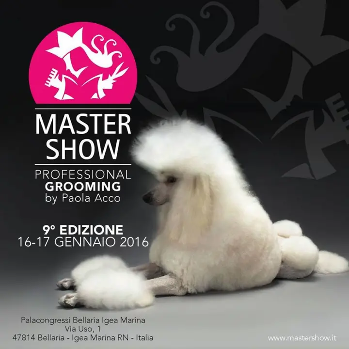 MASTER SHOW PROFESSIONAL GROOMING