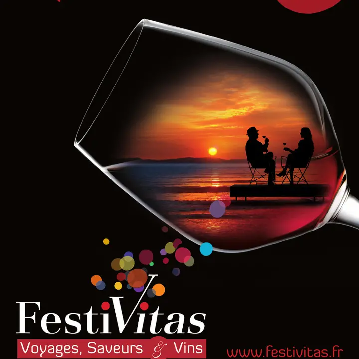 FESTIVITAS Voyages, Saveurs et Vins 2011