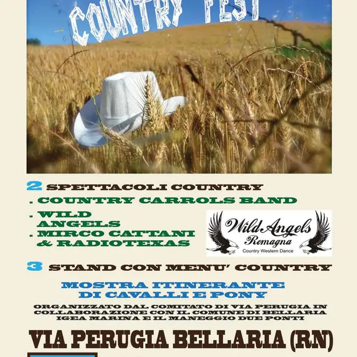 FESTA COUNTRY 30 giugno 2012