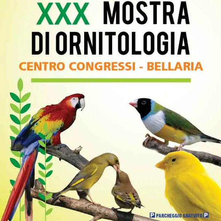 XXX MOSTRA ORNITOLOGICA NAZIONALE 07-08 dicembre 2013