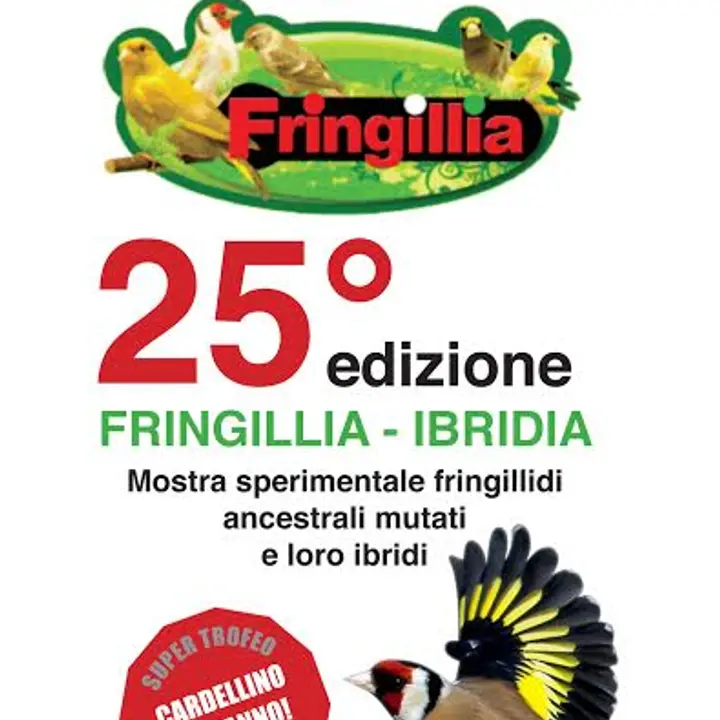 25° edizione FRINGILLIA-IBRIDIA 31 ottobre-02 novembre 2014