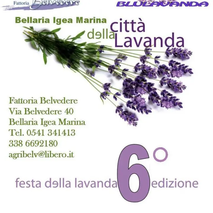 FESTA DELLA LAVANDA 6° edizione