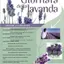 FESTA DELLA LAVANDA 6° edizione