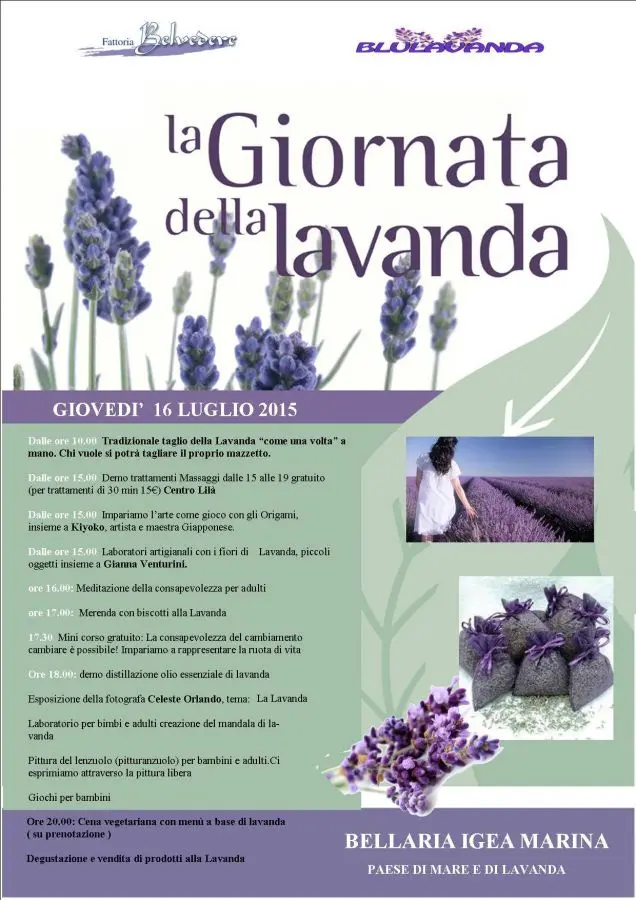 FESTA DELLA LAVANDA 6° edizione - Bellaria Igea Marina Vacanze: Mare Sport  Congressi Eventi